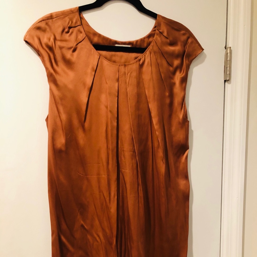 Silk Joie Dress